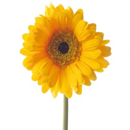 Декоративно цвете Leonardo Гербер, Жълт, 22 x 23 x 50 см