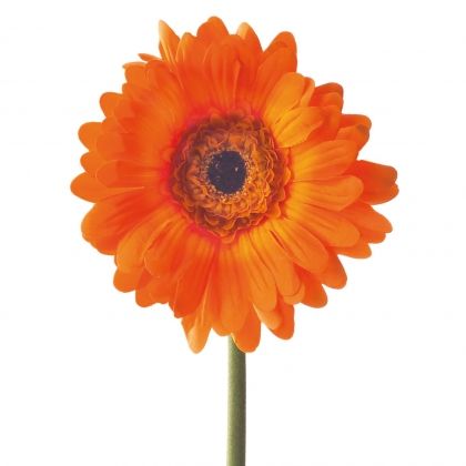 Декоративно цвете Leonardo Гербер, Оранжев, 22 x 23 x 50 см