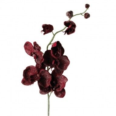 Декоративно цвете Leonardo Орхидея, Червен, 5 x 10 x 79 см
