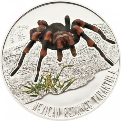 Сребърна монета "Mexican Redknee Tarantula" Niue Island, 2012 г.