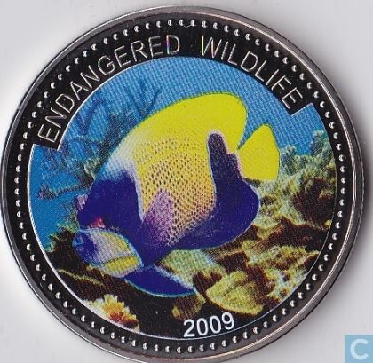 Фина монета застрашени морски видове ” Angel fish ” Palau 2009г.