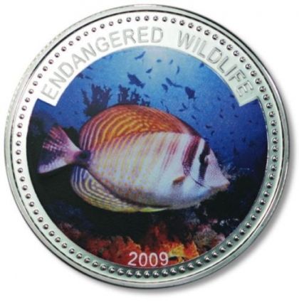 Фина монета застрашени морски видове " Butterfly fish " Palau 2009г.