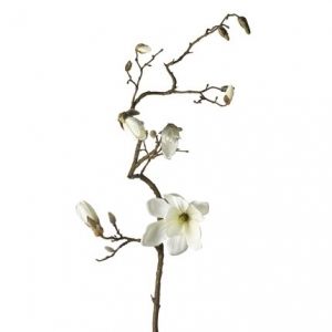 Декоративно цвете Leonardo Primavera Магнолия, Бял, 15 x 19 x 140 см