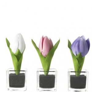 Комплект вази Leonardo Primavera Tulips, 5 х 5 х 14 см