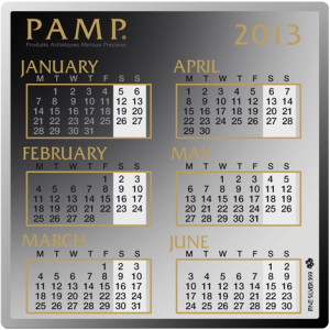 Сребърен календар Pamp, Сребро, 10 x 10 мм, 2013 г.