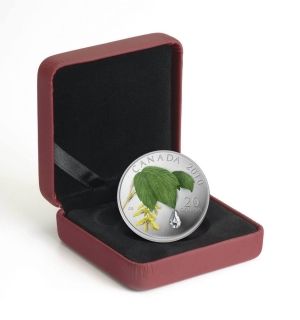 Сребърна монета серия Кленов лист " Дъждовна капка " Canada 2010г.