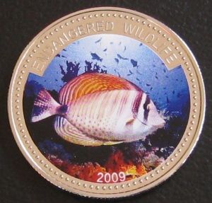Фина монета застрашени морски видове " Butterfly fish " Palau 2009г.