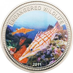 Фина монета застрашени морски видове " Тропическа риба хирург " Palau 2007г.